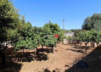 Locale Commerciale Torre Canne, Fasano - foto 31