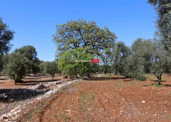 Locale Commerciale Torre Canne, Fasano - foto 33