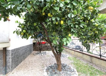 Villa zona mare, Tortoreto - foto 4