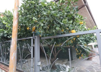 Villa zona mare, Tortoreto - foto 20