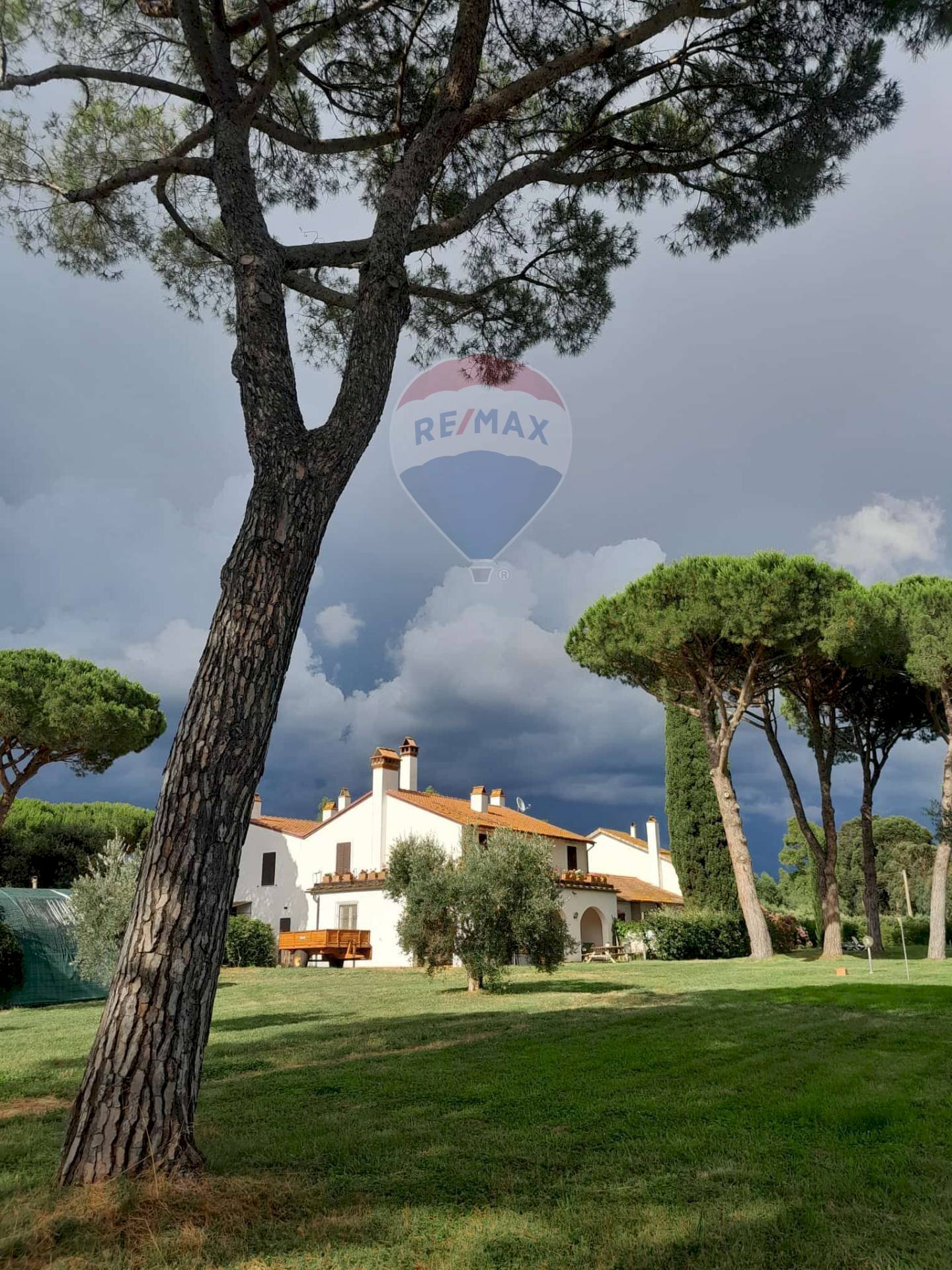 Farm Grosseto - photo 1