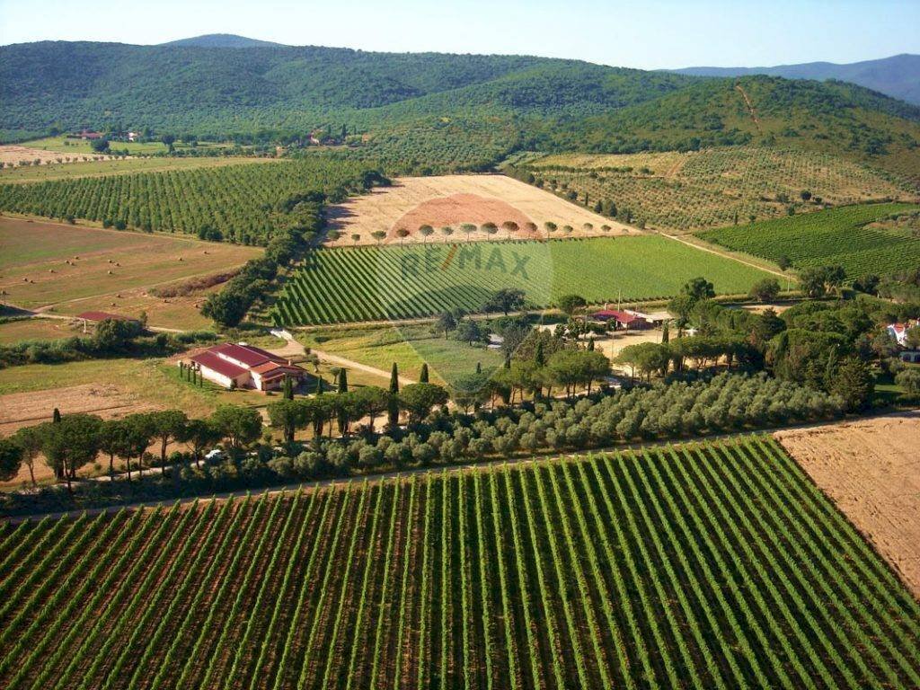 Farm Grosseto - photo 2
