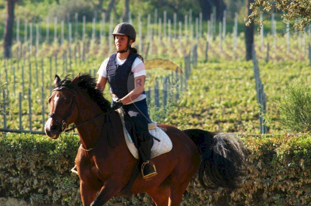 Farm Grosseto - photo 3