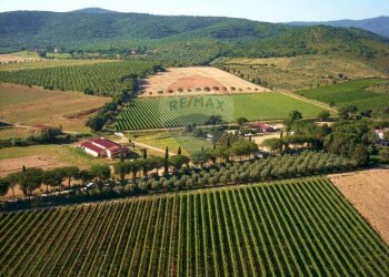 Farm Grosseto - photo 2