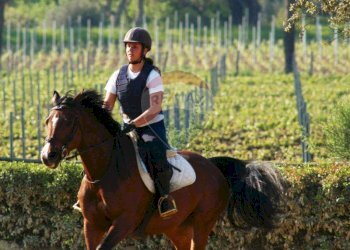 Farm Grosseto - photo 3