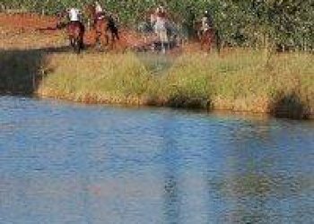 Farm Grosseto - photo 4