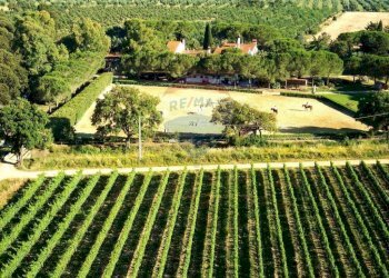 Farm Grosseto - photo 5