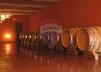 Farm Grosseto - photo 7