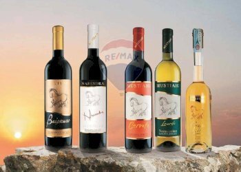 Farm Grosseto - photo 11