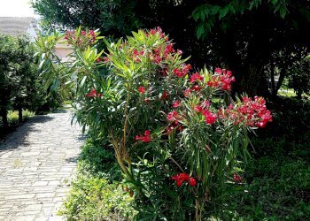 Villa Unifamiliare Via Vittorio Veneto, Palazzolo Vercellese - foto 20