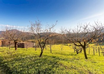 Terreno - Quadrilocale Trescore Balneario - foto 34