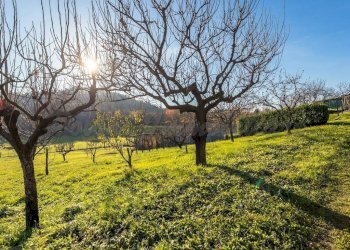 Terreno - Four-room apartment Trescore Balneario - photo 36