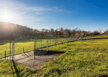 Terreno - Quadrilocale Trescore Balneario - foto 38