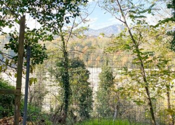 Giardino - Casa indipendente via Ponte, 43, Verucchio - foto 26