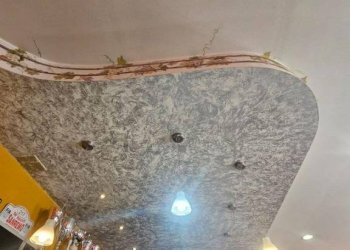 Interno non residenziale - Bar Tavola Calda - Fredda Brossasco - foto 3