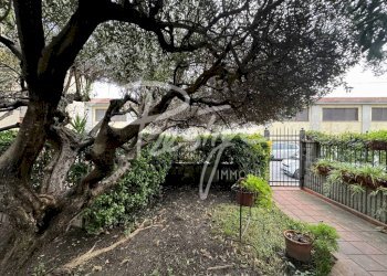 Giardino - Villa via Cesare Bertagnini, La Spezia - foto 19