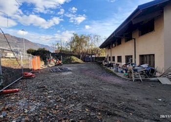 Giardino - Stabile - Palazzo via Tonale, 4, Sondrio - foto 4