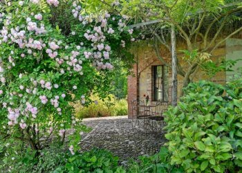 Giardino - Rustic Cascina Bertana, 1, Odalengo Grande - photo 14