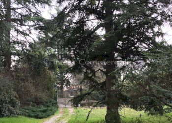 PARCO - Villa Brescia - foto 30