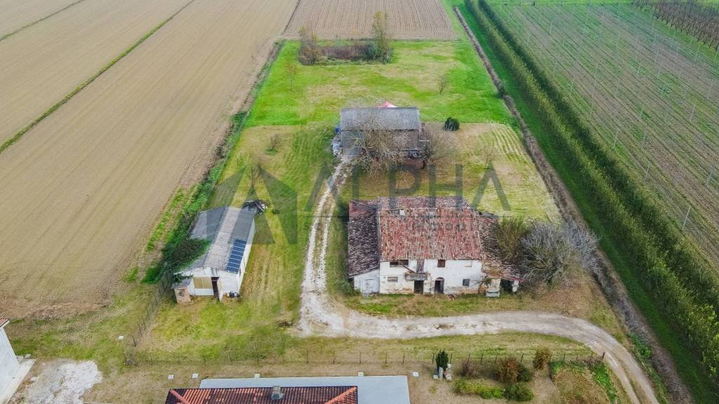 Terreno - Rustic via Lughese, Forlì - photo 1