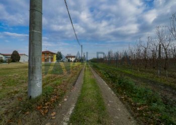 Terreno - Rustico via Lughese, Forlì - foto 11