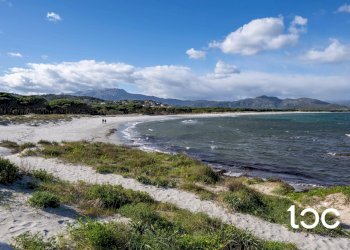 Trilocale Siniscola - foto 12