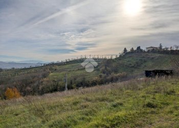 Terreno edificabile Via Monte Delle Forche, Roncofreddo - foto 8