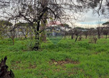 Terreno edificabile Via della Resistenza, Mugnano di Napoli - foto 21