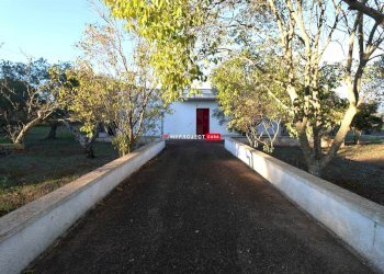 Independent house Direzione Villa Castelli, Martina Franca - photo 1