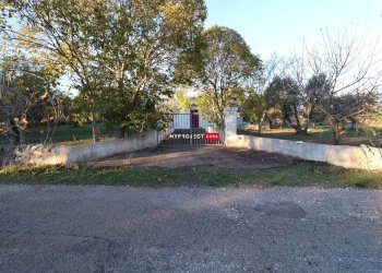 Independent house Direzione Villa Castelli, Martina Franca - photo 13