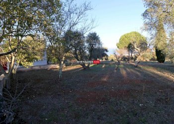 Independent house Direzione Villa Castelli, Martina Franca - photo 14