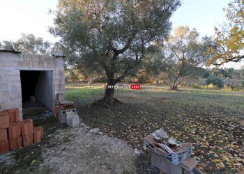 Independent house Direzione Villa Castelli, Martina Franca - photo 15