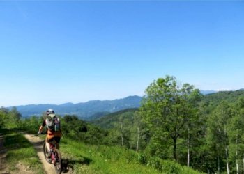 Terreno - Casa indipendente Frazione Piancastagna, 26, Ponzone - foto 13