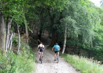 Terreno - Casa indipendente Frazione Piancastagna, 26, Ponzone - foto 22