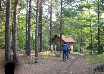 Terreno - Casa indipendente Frazione Piancastagna, 26, Ponzone - foto 27