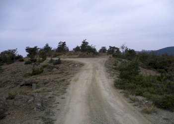 Terreno - Casa indipendente Frazione Piancastagna, 26, Ponzone - foto 30