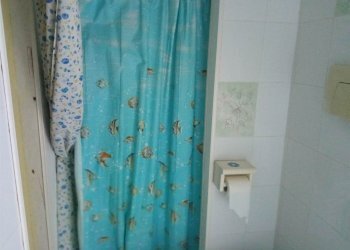 Bilocale -, Vetralla - foto 6