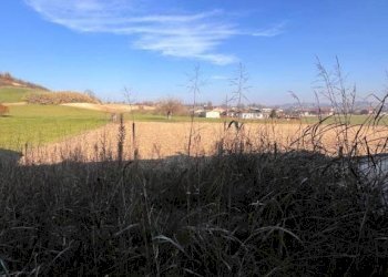 Villa San Damiano d'Asti - foto 16