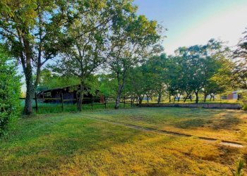 Terreno - Villa via Genova, Alessandria - foto 13