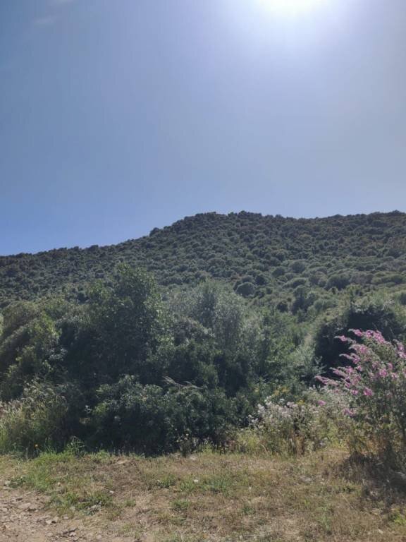 Vista - Agricultural land via Enea, Budoni - photo 2