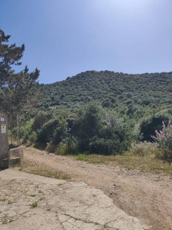 Terreno - Agricultural land via Enea, Budoni - photo 3