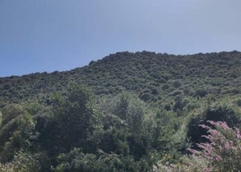 Vista - Agricultural land via Enea, Budoni - photo 2