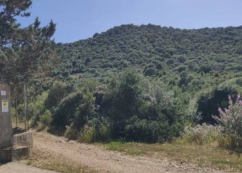 Terreno - Agricultural land via Enea, Budoni - photo 3