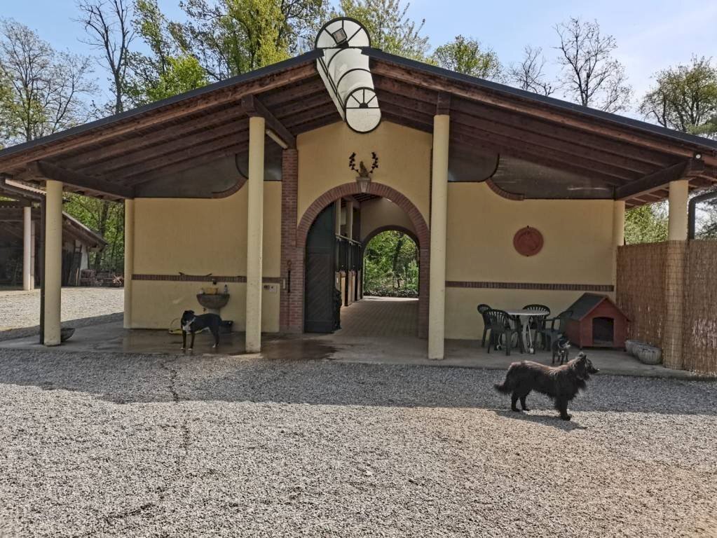 Facciata - Shed via Sempione, Vergiate - photo 1