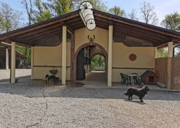 Facciata - Capannone via Sempione, Vergiate - foto 1