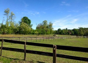 Terreno - Capannone via Sempione, Vergiate - foto 4