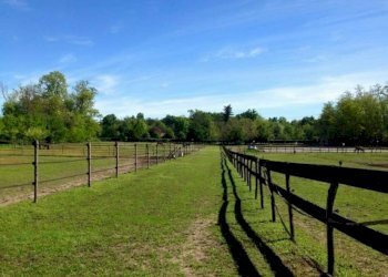 Terreno - Capannone via Sempione, Vergiate - foto 6