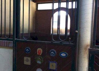 Interno appartamento - Capannone via Sempione, Vergiate - foto 11