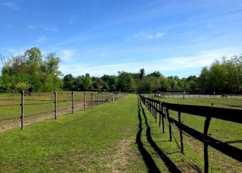 Terreno - Capannone via Sempione, Vergiate - foto 13