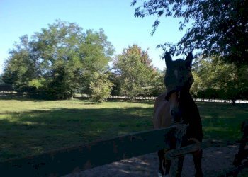 Terreno - Capannone via Sempione, Vergiate - foto 14